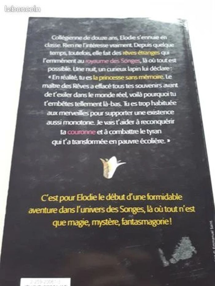 Livre Elodie et le Maître des Rêves - photo numéro 2