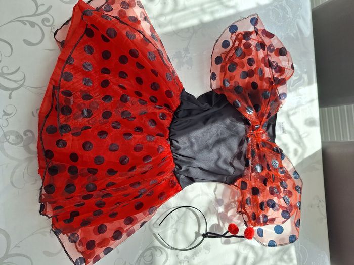 Costume Ladybug - photo numéro 3