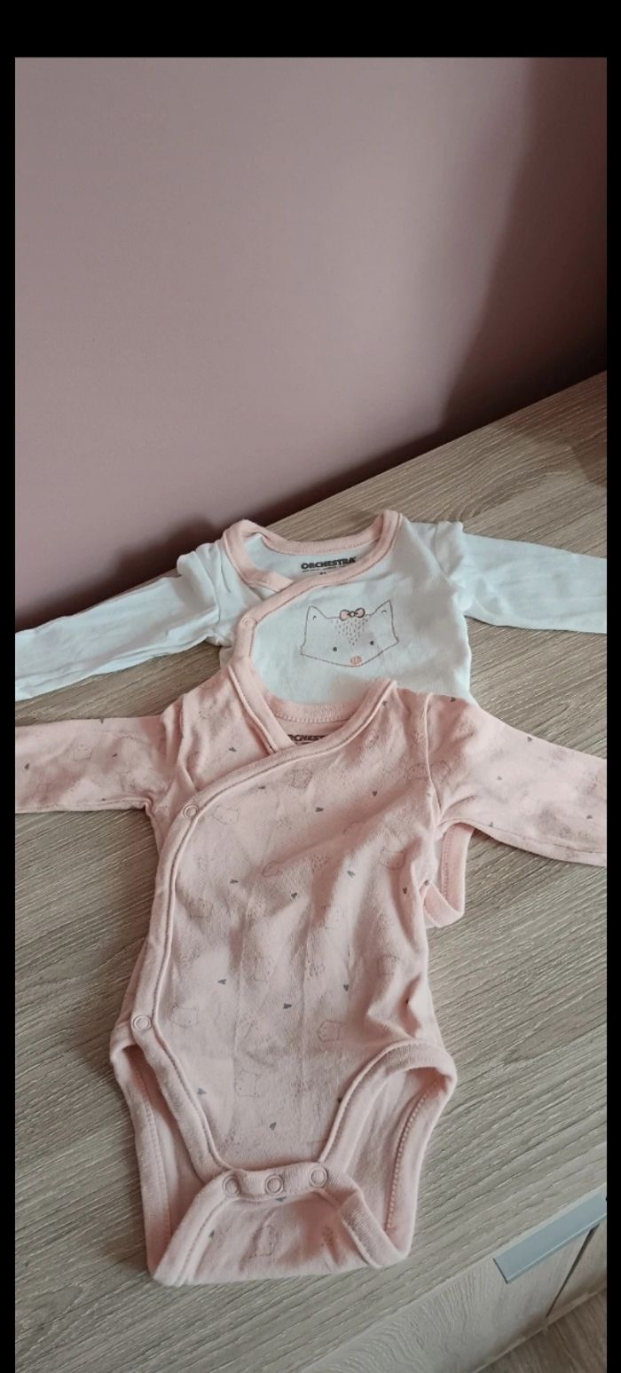 Bodies - photo numéro 3