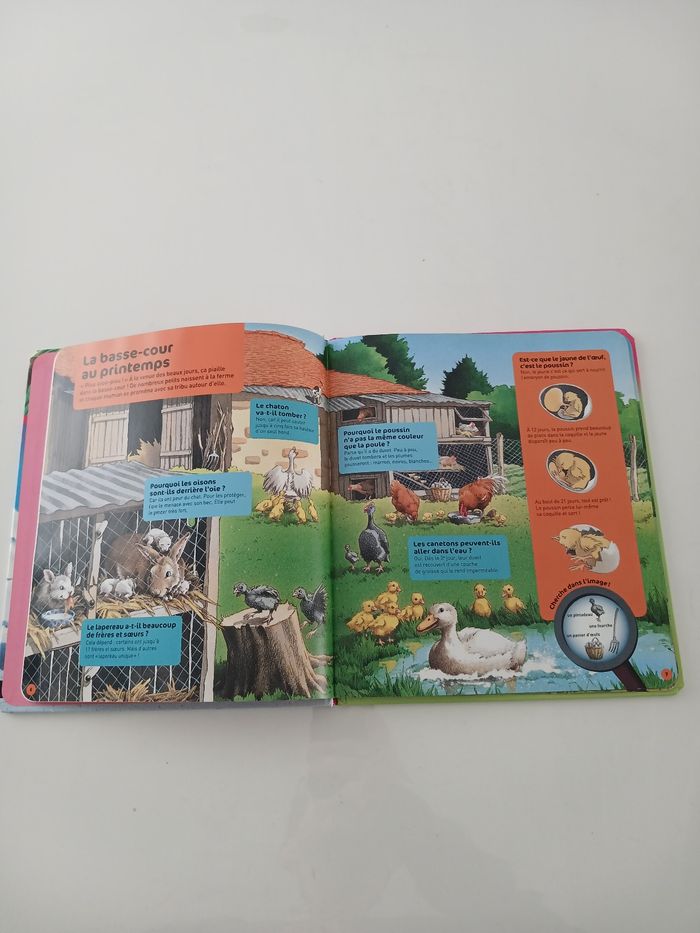 Livre Nathan - Questions/Réponses : Les bébés animaux - photo numéro 7