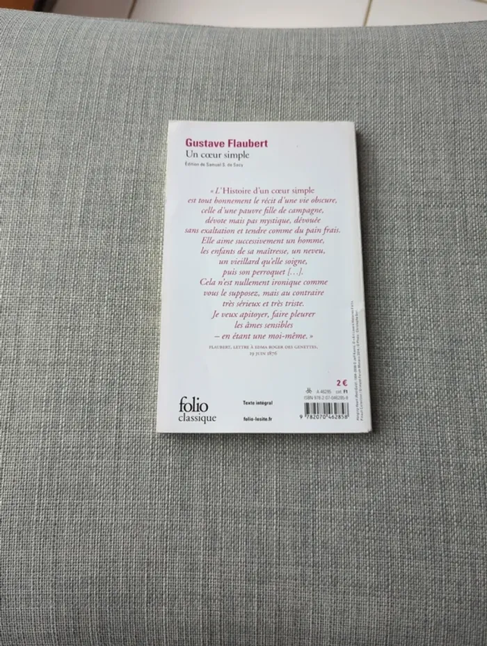 Un cœur simple, Flaubert - photo numéro 2