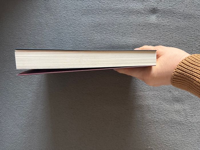 Le vent souffle sur Little Balmoral - photo numéro 4