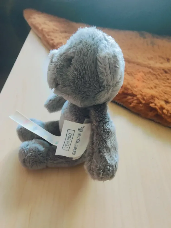Petit ours gris - photo numéro 3