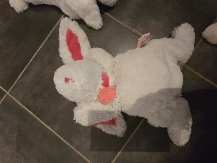 Doudou - photo numéro 3