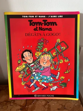 📚 Tom-Tom et Nana – Dégâts à gogo ! (Bayard Poche)