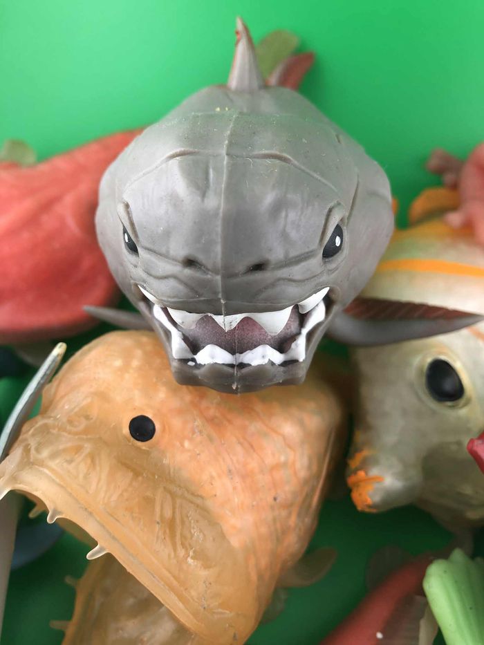 Lot de poissons - photo numéro 3