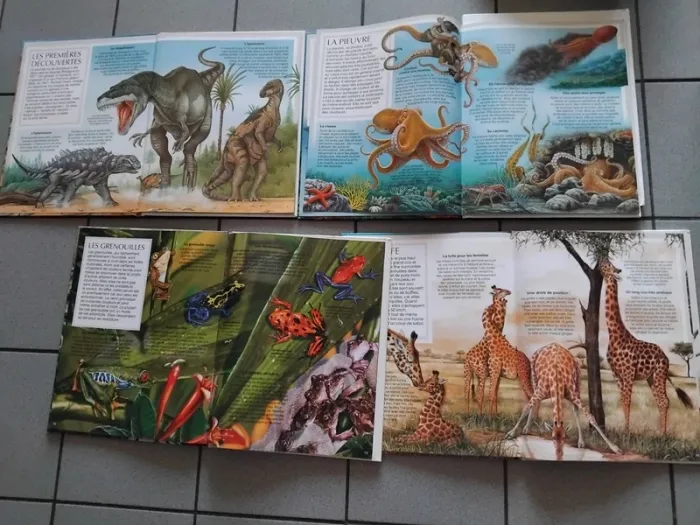 Lot livres documentaire - photo numéro 3