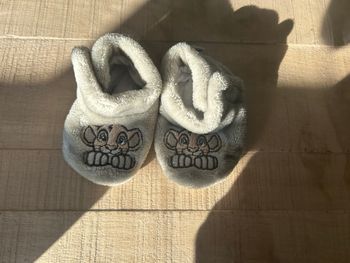 Chaussons Roi Lion