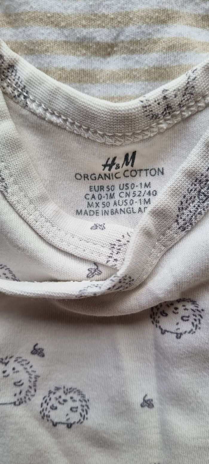 Lot de 6 bodys naissance - photo numéro 3