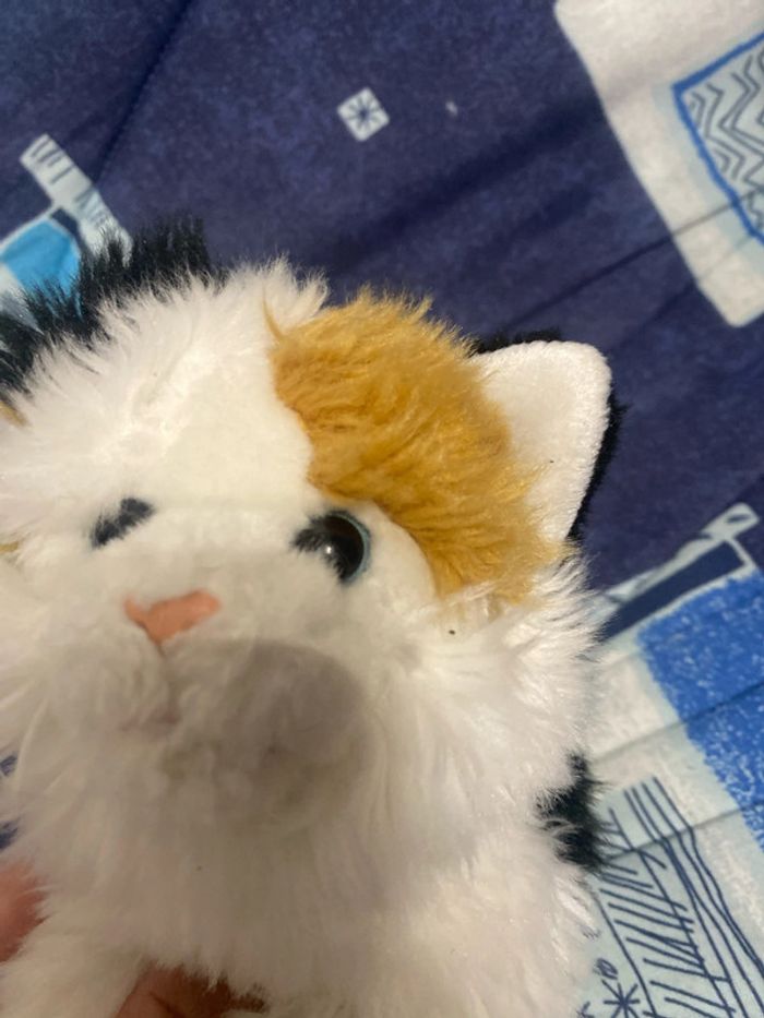 Chat en peluche - photo numéro 3