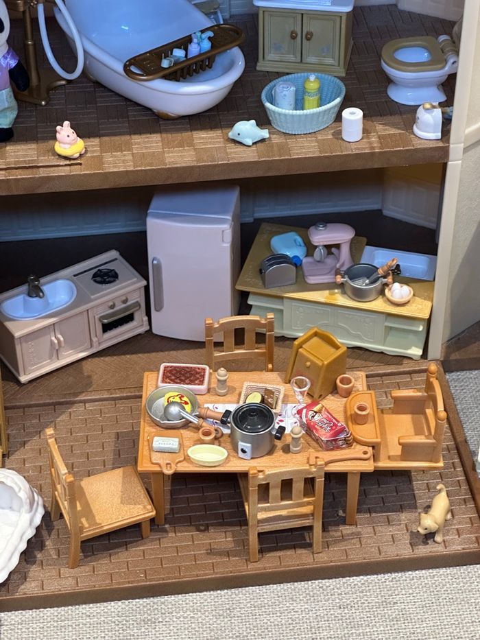 La grand maison éclairée complète - photo numéro 9