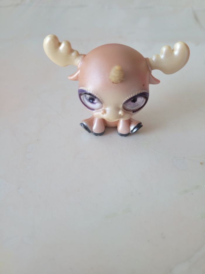 Petshop cerf 🦌