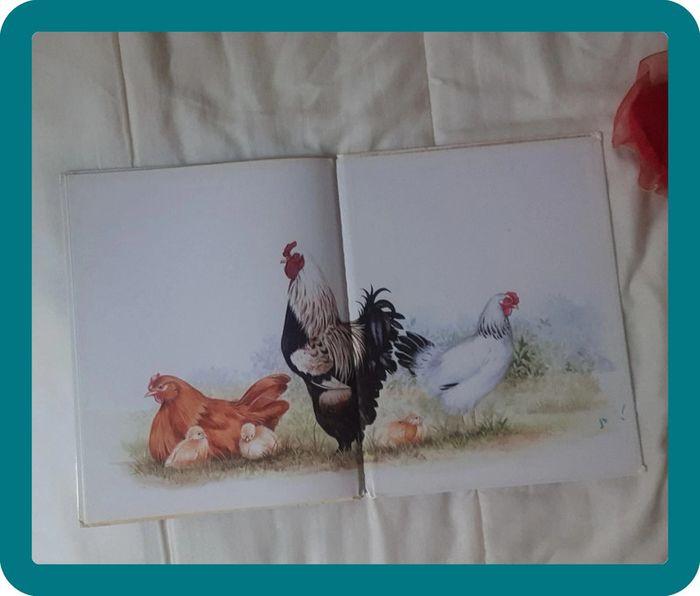 Livre - photo numéro 3