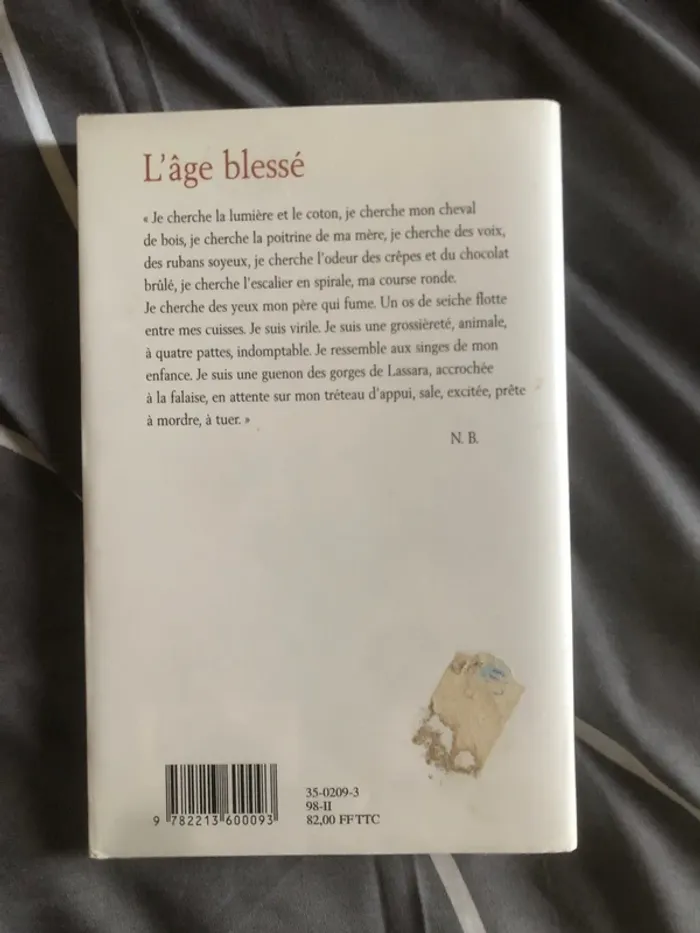 Roman l’âge blessé 📕 - photo numéro 3