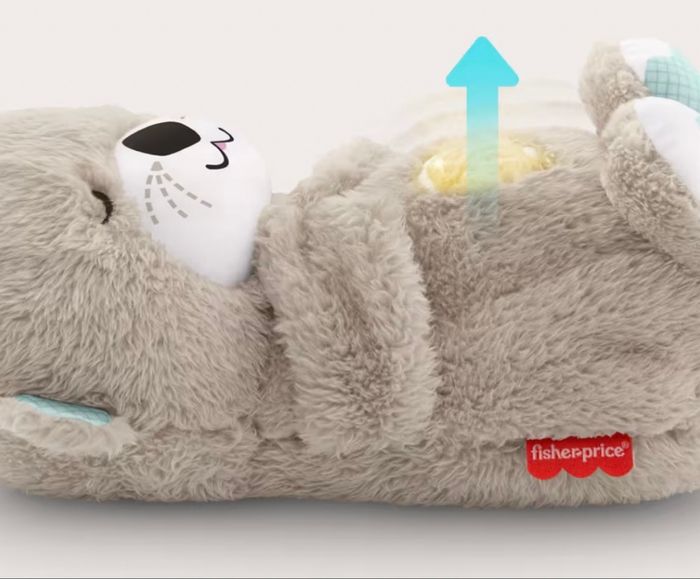 Loutre câline - photo numéro 3