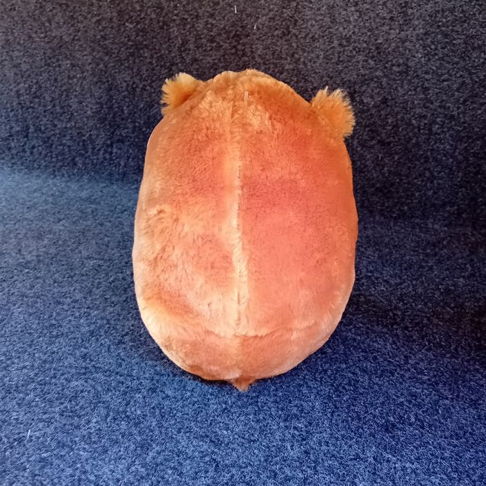 Peluche - photo numéro 2