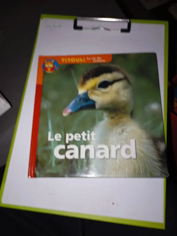 Titouic dans la tempête - photo numéro 2