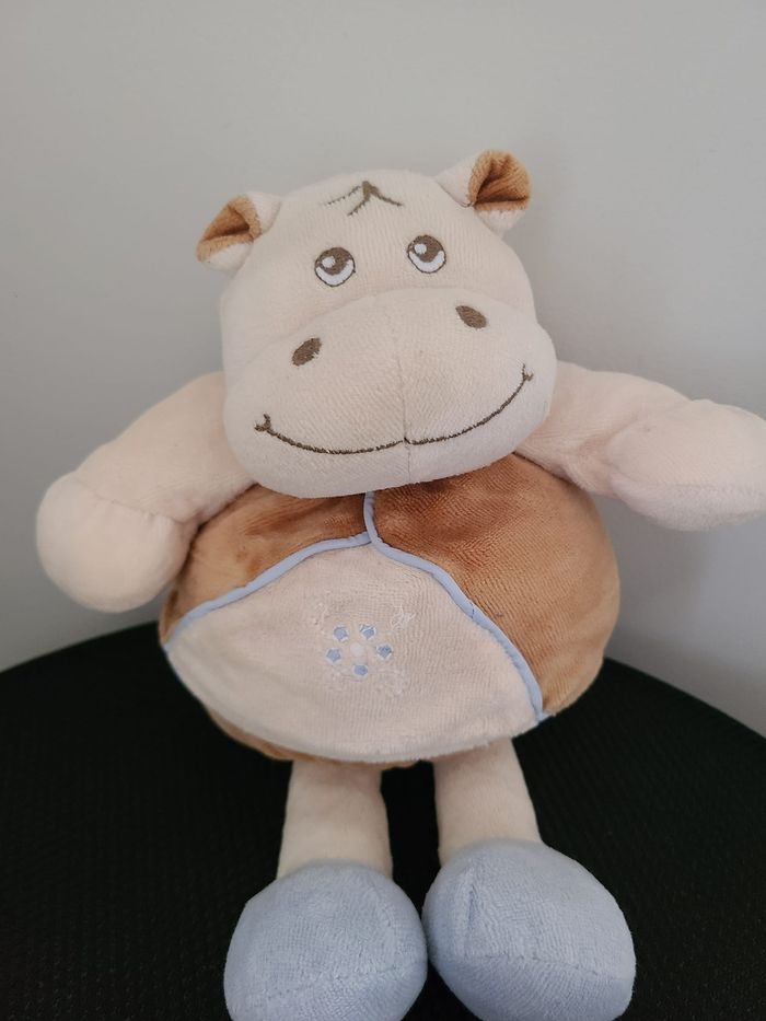 hippopotame - photo numéro 3