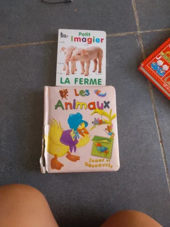 Lot imagiers