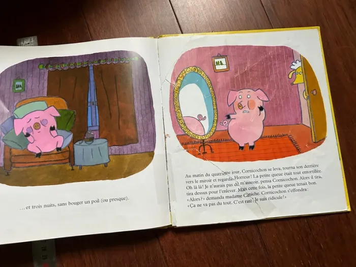 Cornicochon livre enfant - photo numéro 7