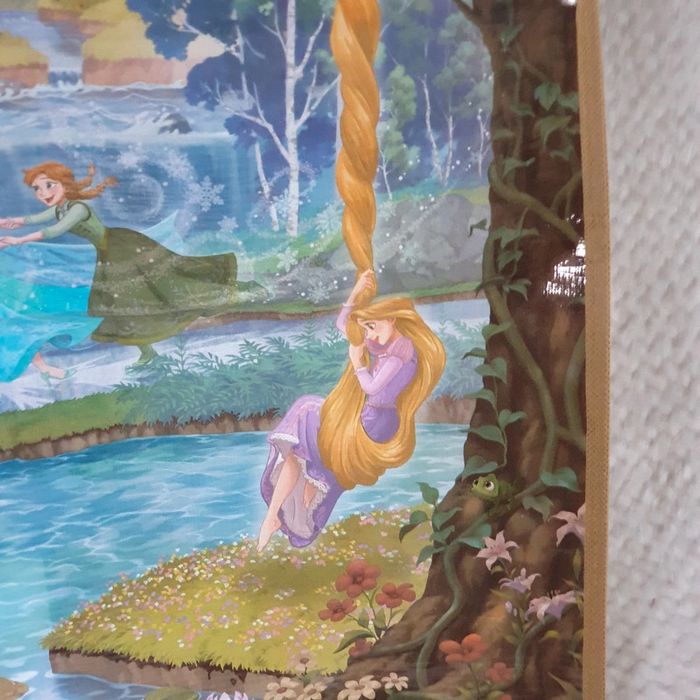 Sac cabas exclusif rare disneyland tokyo disneysea disneysprings japan tokyo - photo numéro 4