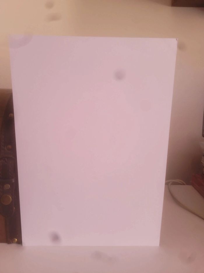 Ex-Libris Dragon Head manga 20 ans Passion Pika Edition - photo numéro 2