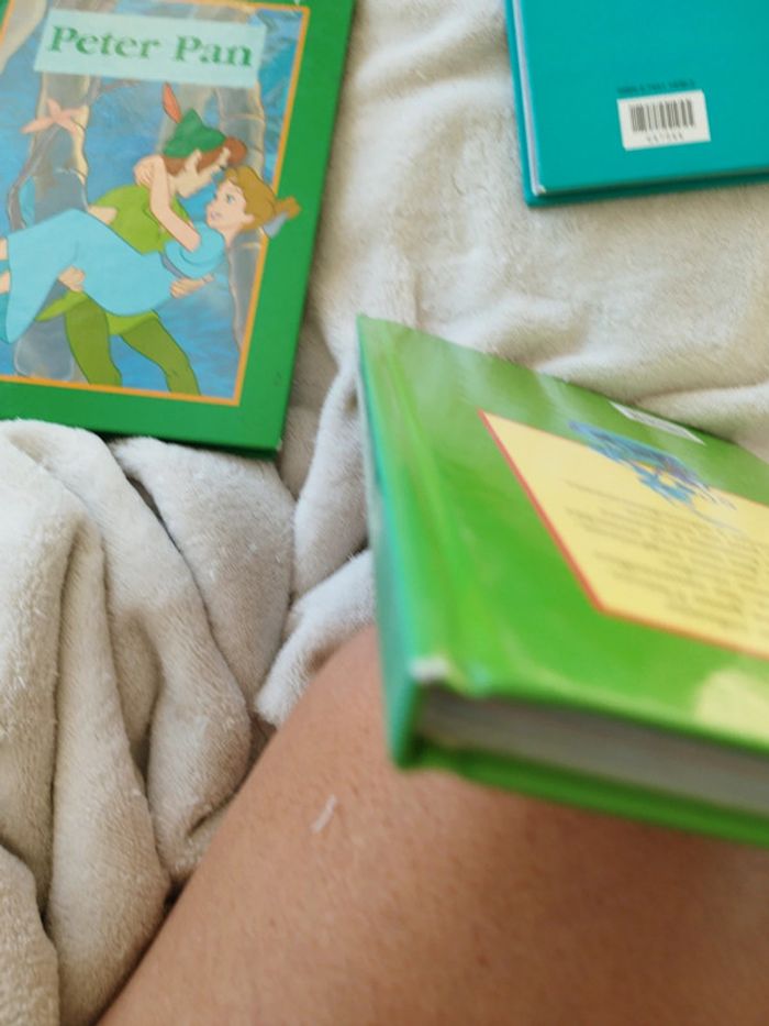 Lot de 3 ouvres Disney : Peter Pan, la petite Sirène et 1001 pattes - photo numéro 3