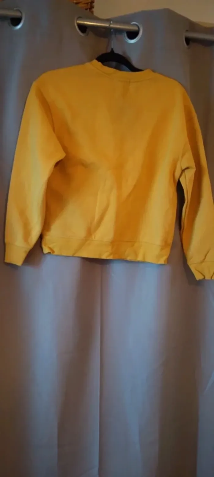 Pull court à la taille - photo numéro 2