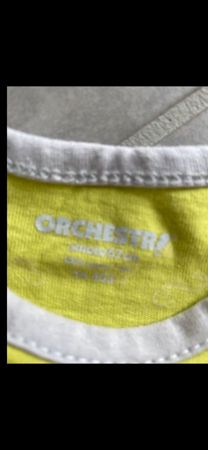 Body manches courtes Orchestra - photo numéro 6