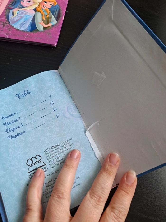 Reine des neiges - photo numéro 2