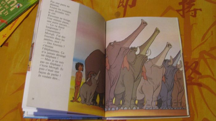 le livre de la jungle - photo numéro 3