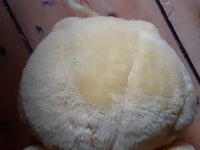 🧸 Peluche bisounours soleil Gros jojo vintage - photo numéro 4