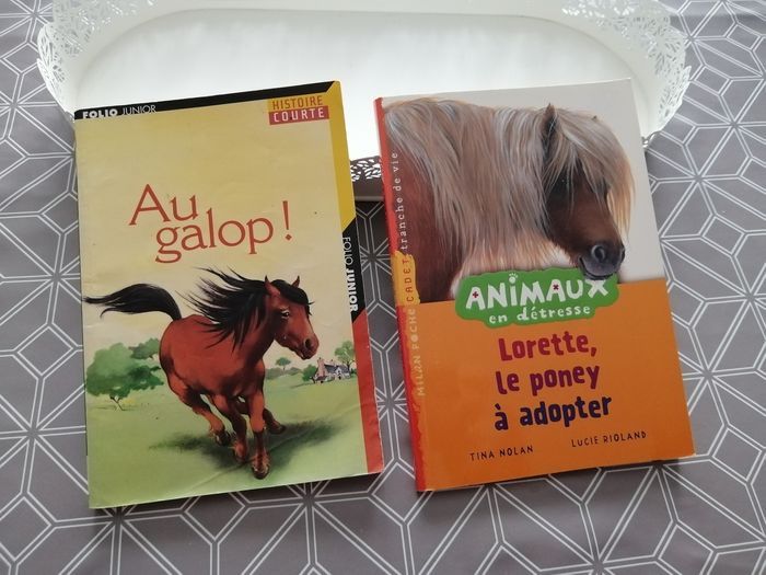 Lot de 2 livres enfants
