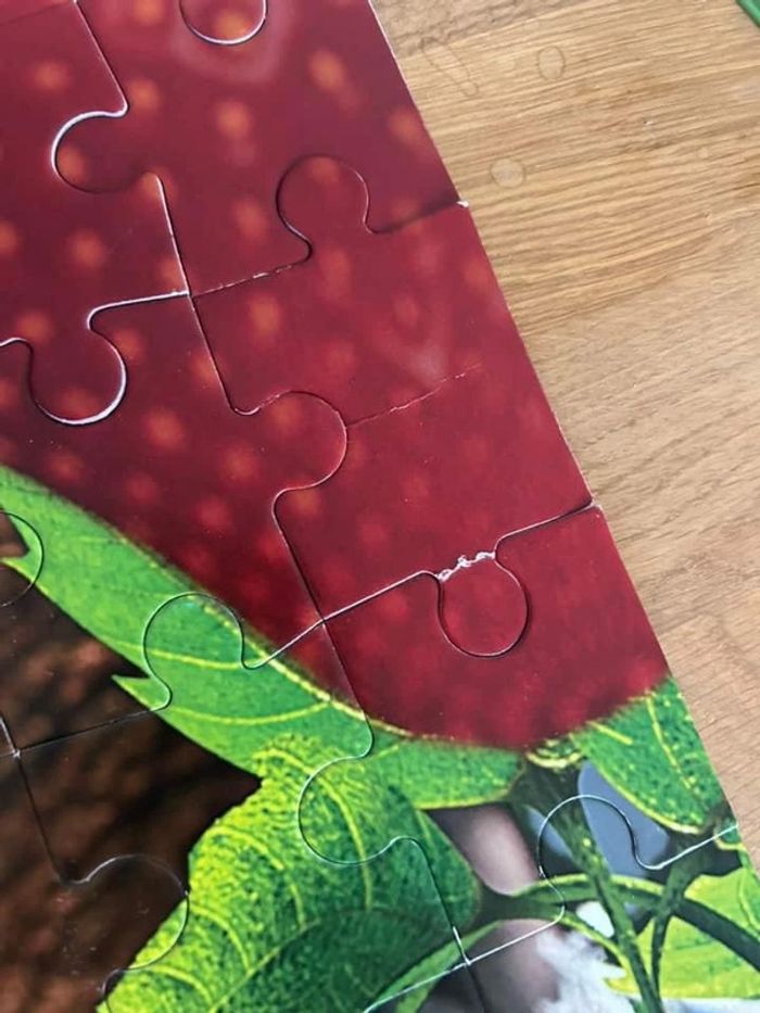 Puzzle complet - photo numéro 3