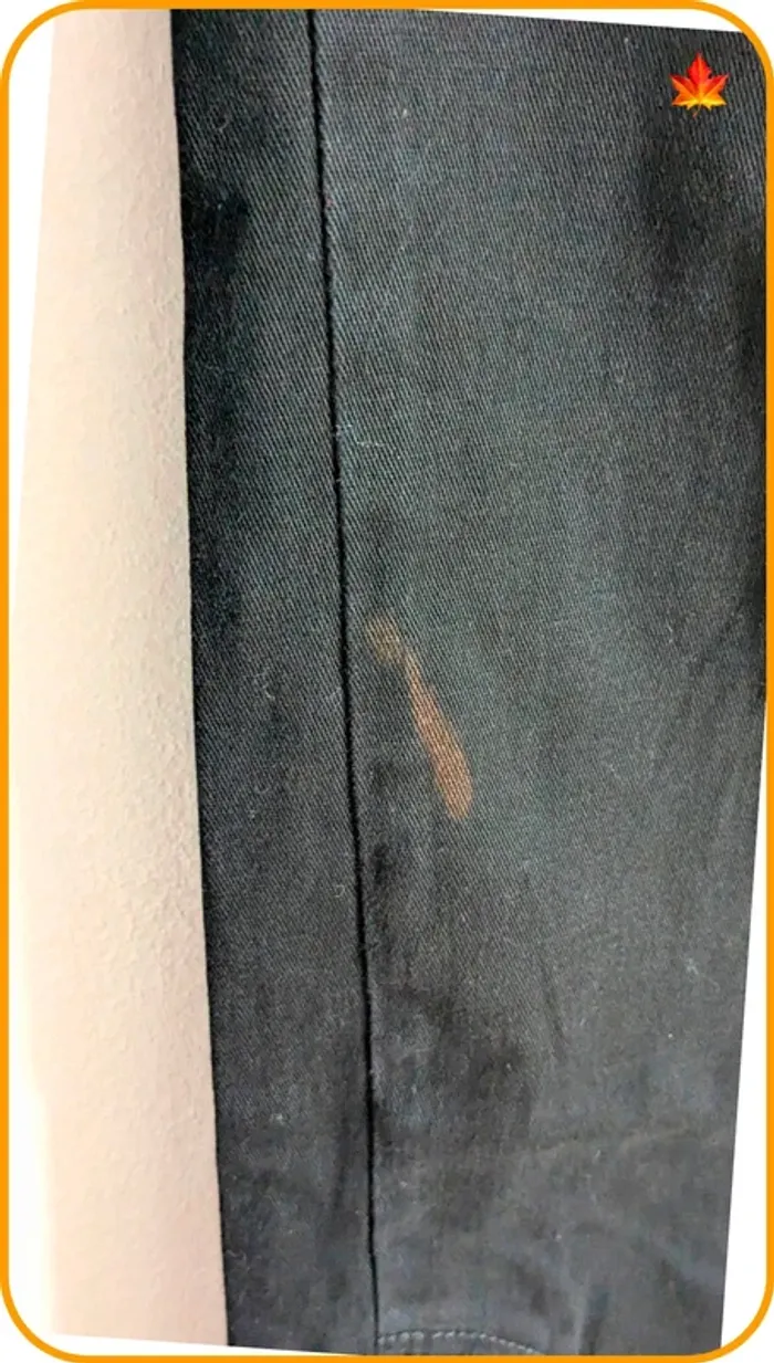 Pantalon femme 38 Fashion expresses - photo numéro 4