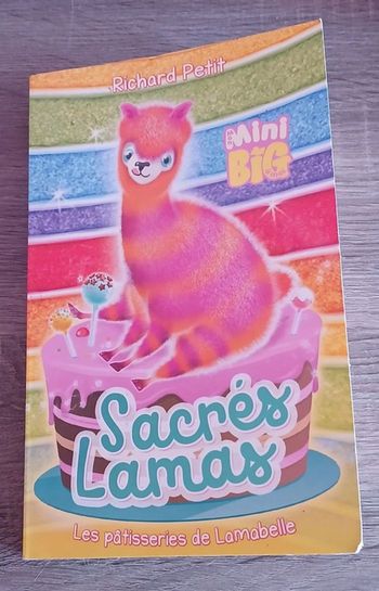 Mini big les pâtisseries de lamabelle
