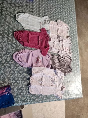 Lot 7 bodys. 4 bodys manches longues et 3 bodys manches courtes