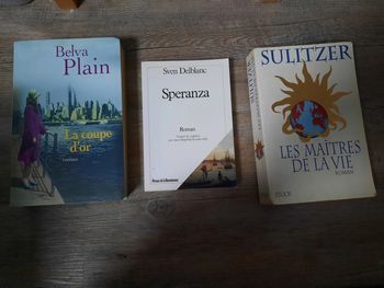 Lot de 3 livres - Romans