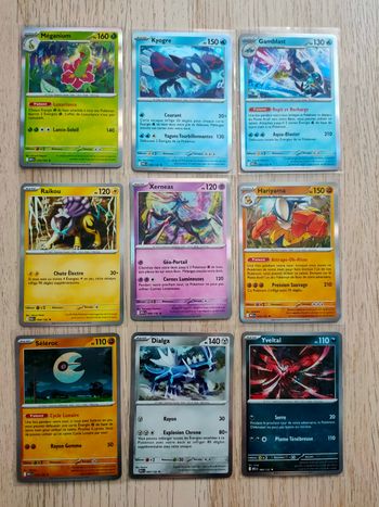 Holographiques Méga-Évolution (MEG)