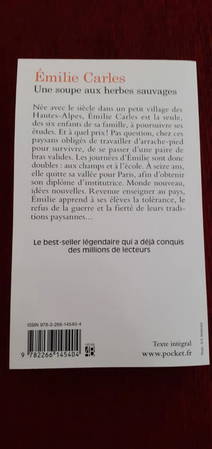 Livre une soupe aux herbes sauvages - photo numéro 2