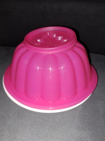 Moule à Charlotte Tupperware