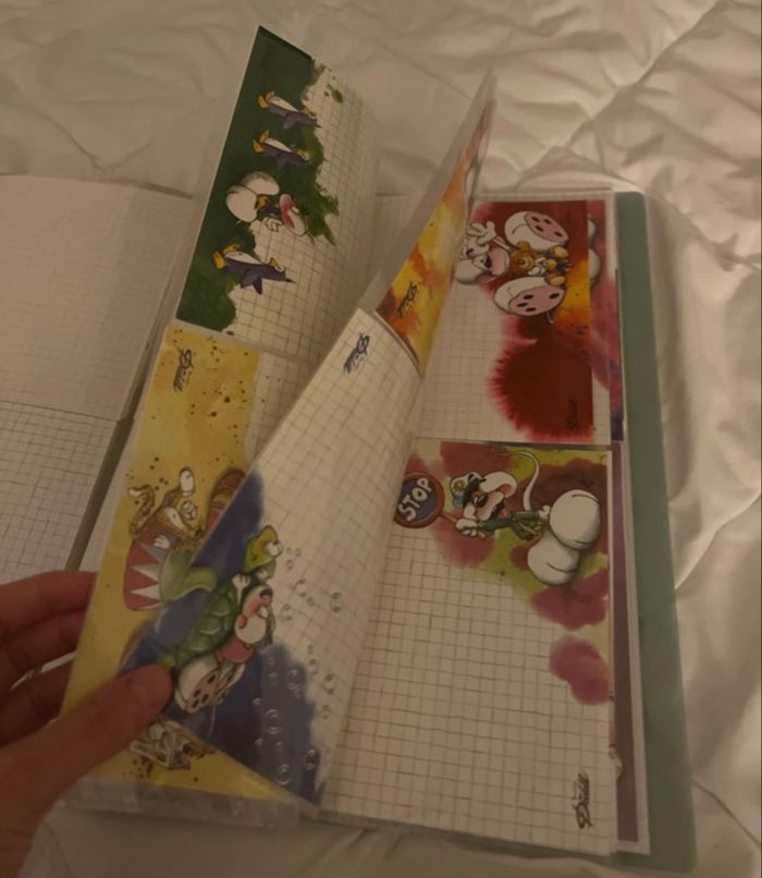 Porte-vue 100 feuilles Diddl 🐭💚 - photo numéro 2