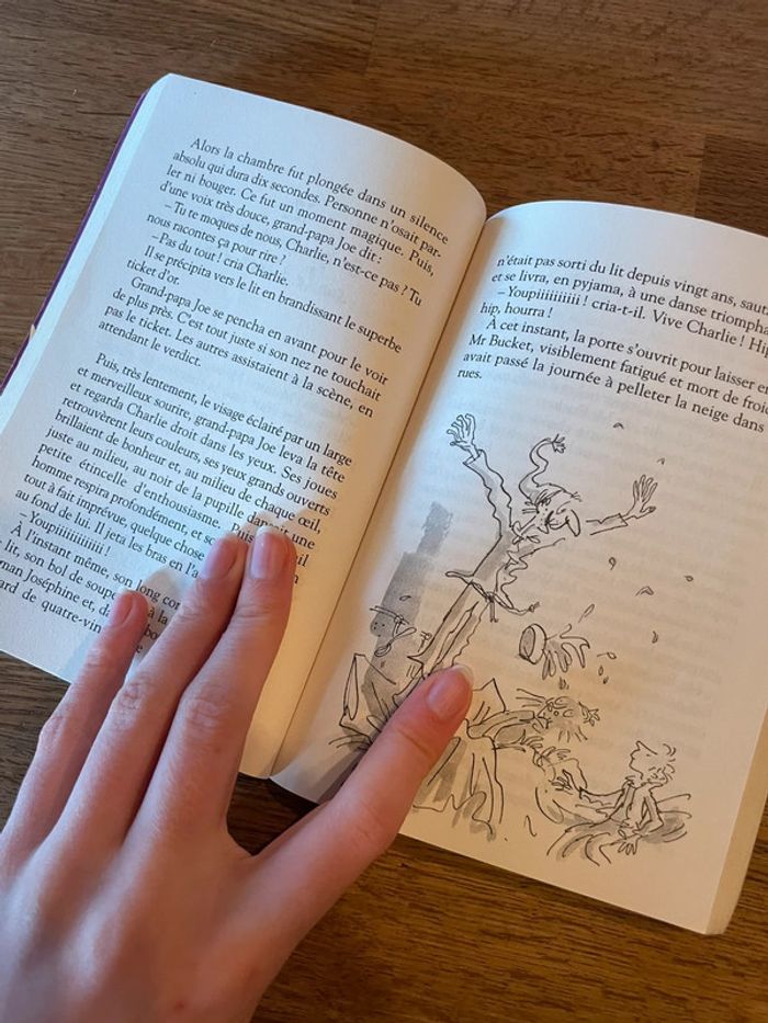 Livre Ronald Dahl Charlie et la chocolaterie  Folio Junior - photo numéro 7