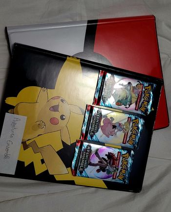 Collection Pokemon aventures ensemble 45% et classeurs 