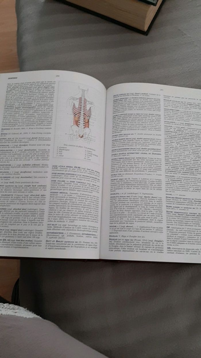 Dictionnaire des Termes de médecine - photo numéro 2