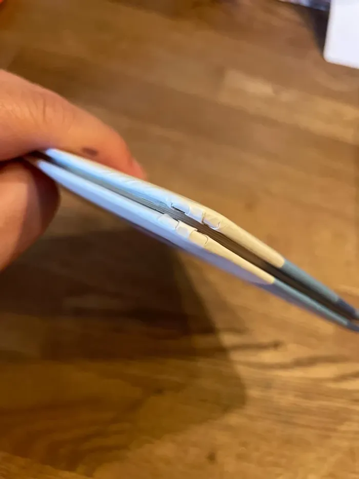 Livre P’tit Loup devient grand frère - photo numéro 9