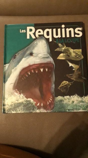 Livre les requins à la loupe