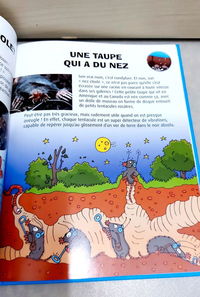 📚 Livre pédagogique : c'est fou ! (Thème animaux) - photo numéro 5