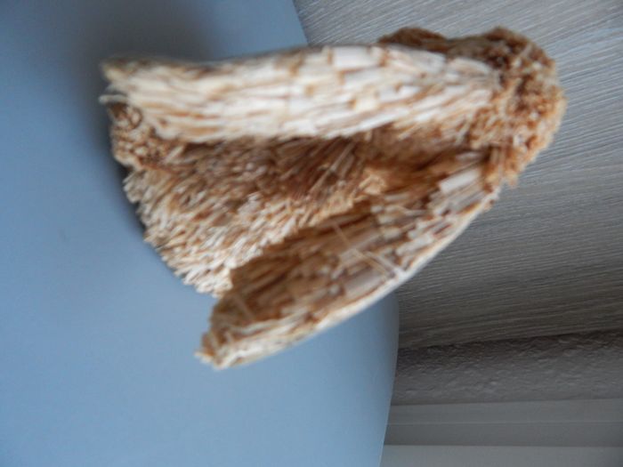 figurine lapin - photo numéro 3