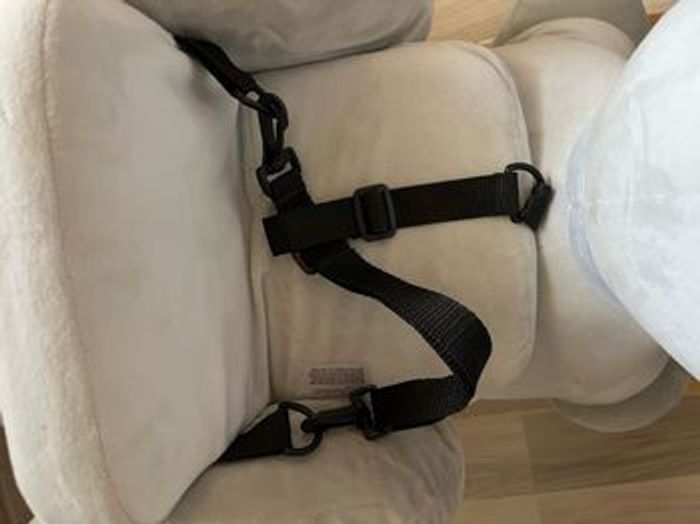 Bascule Nattou - photo numéro 2